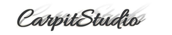 CarpitStudio logo